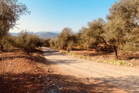 Helårsgrund i Comares, Malaga, Comares - € 25.000 | Ref: ID3898 - foto 8